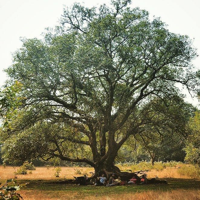 Photo of Goa Trekking (Dec.-2015) by Bhargav Vyas
