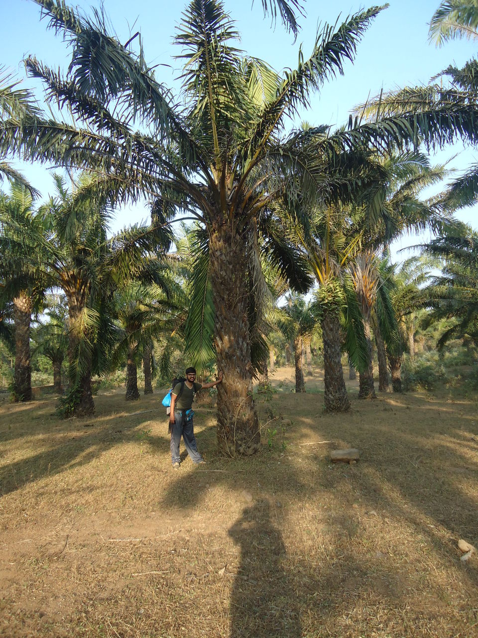 Photo of Goa Trekking (Dec.-2015) by Bhargav Vyas