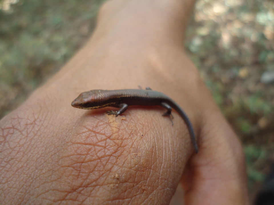 Photo of Goa Trekking (Dec.-2015) by Bhargav Vyas