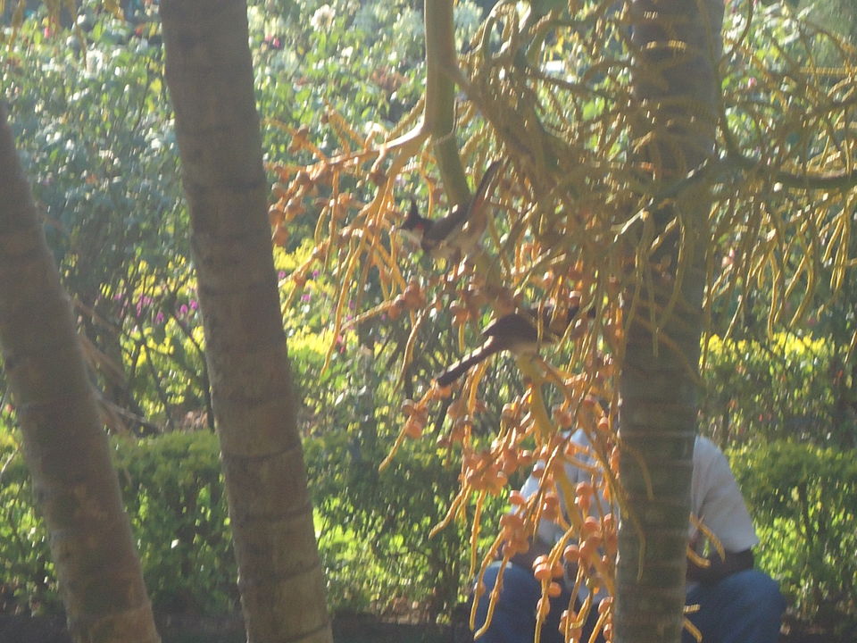 Photo of Goa Trekking (Dec.-2015) by Bhargav Vyas