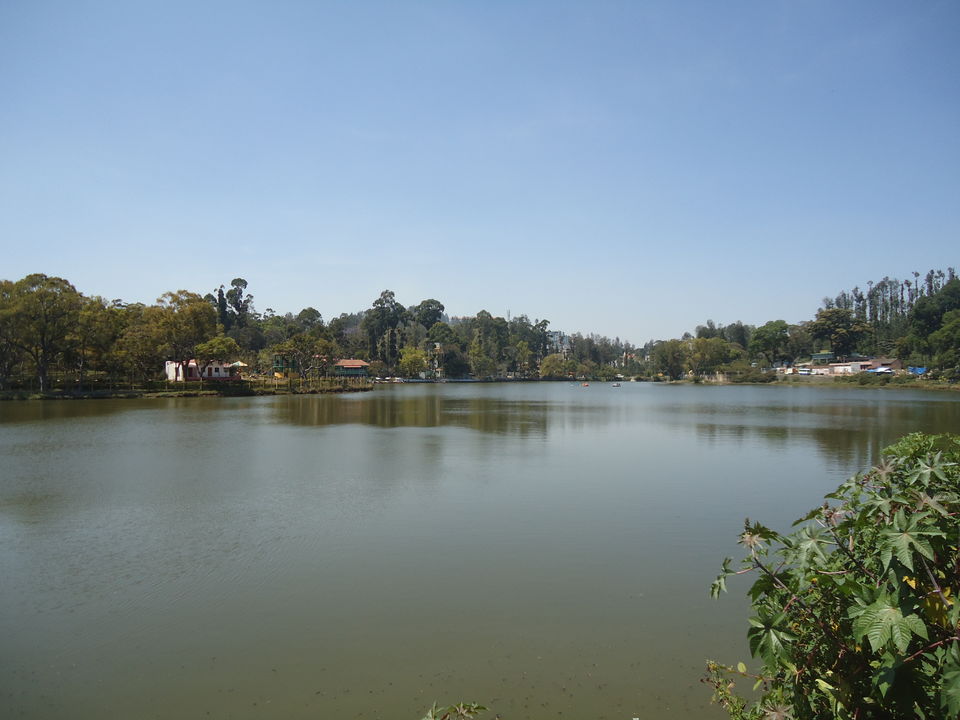 Photo of Yercaud Trip (Feb.-17) 2/28 by Bhargav Vyas