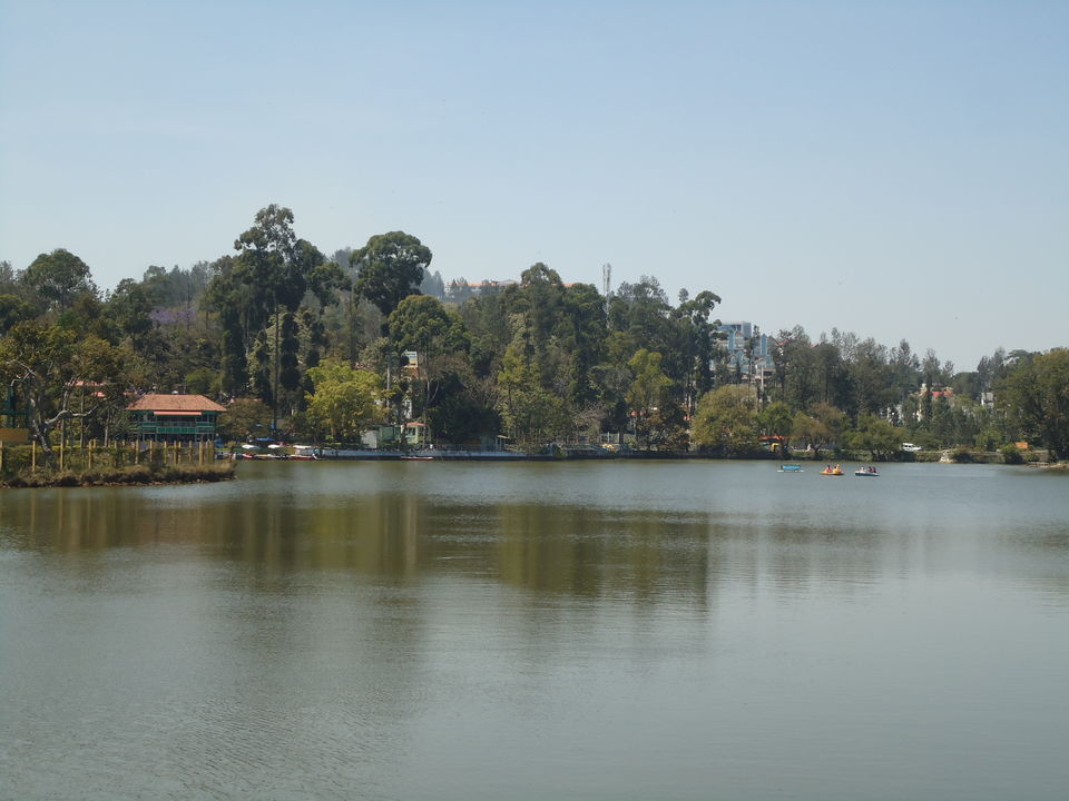 Photo of Yercaud Trip (Feb.-17) 3/28 by Bhargav Vyas