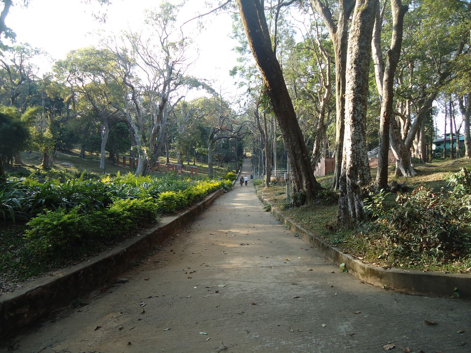 Photo of Yercaud Trip (Feb.-17) 7/28 by Bhargav Vyas