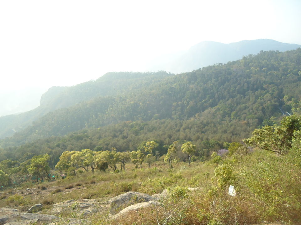 Photo of Yercaud Trip (Feb.-17) 8/28 by Bhargav Vyas