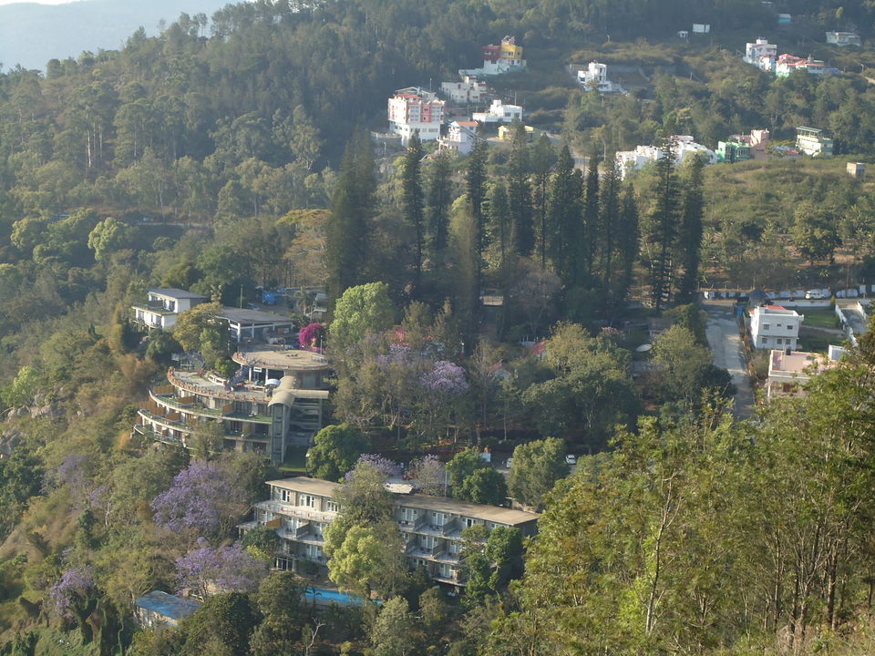 Photo of Yercaud Trip (Feb.-17) 10/28 by Bhargav Vyas
