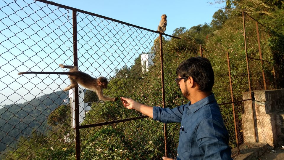 Photo of Yercaud Trip (Feb.-17) 13/28 by Bhargav Vyas