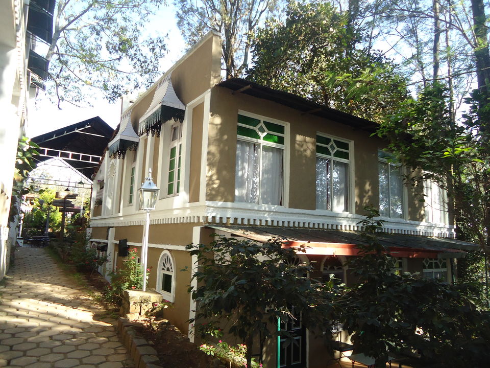 Photo of Yercaud Trip (Feb.-17) 15/28 by Bhargav Vyas