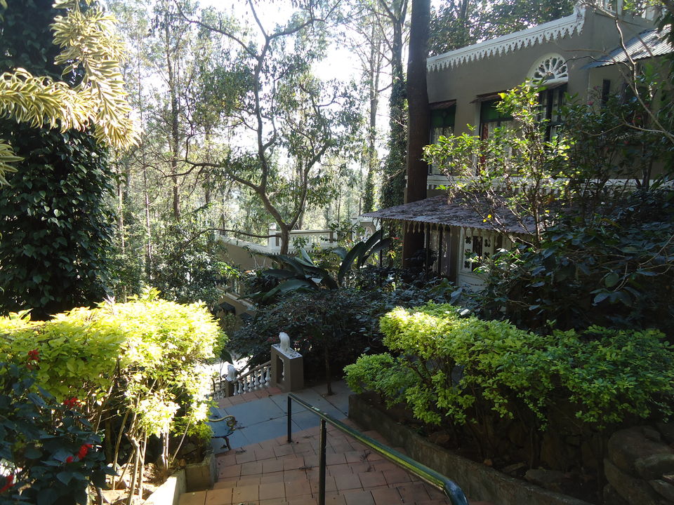 Photo of Yercaud Trip (Feb.-17) 17/28 by Bhargav Vyas