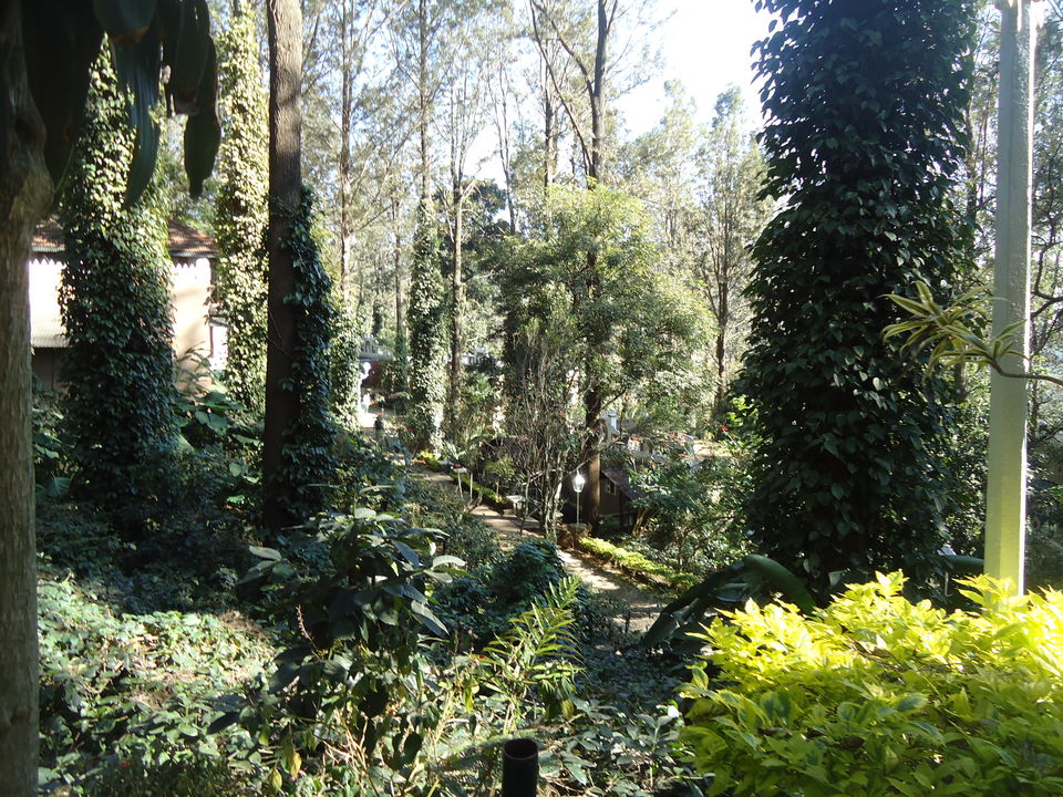 Photo of Yercaud Trip (Feb.-17) 18/28 by Bhargav Vyas