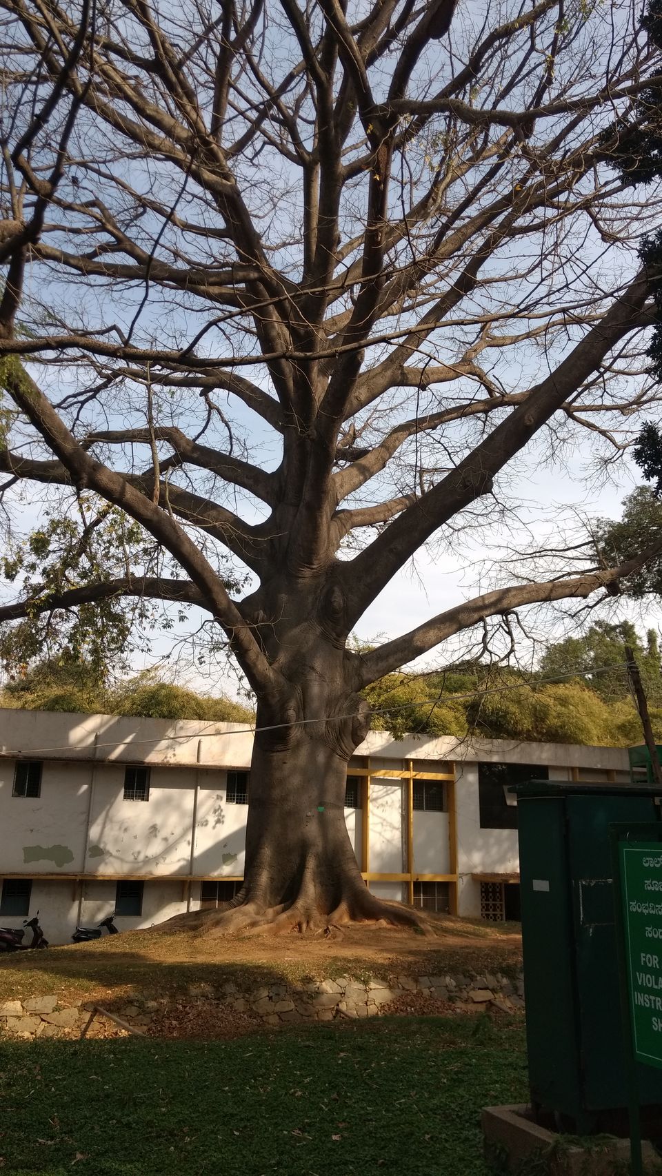 Photo of Yercaud Trip (Feb.-17) 24/28 by Bhargav Vyas