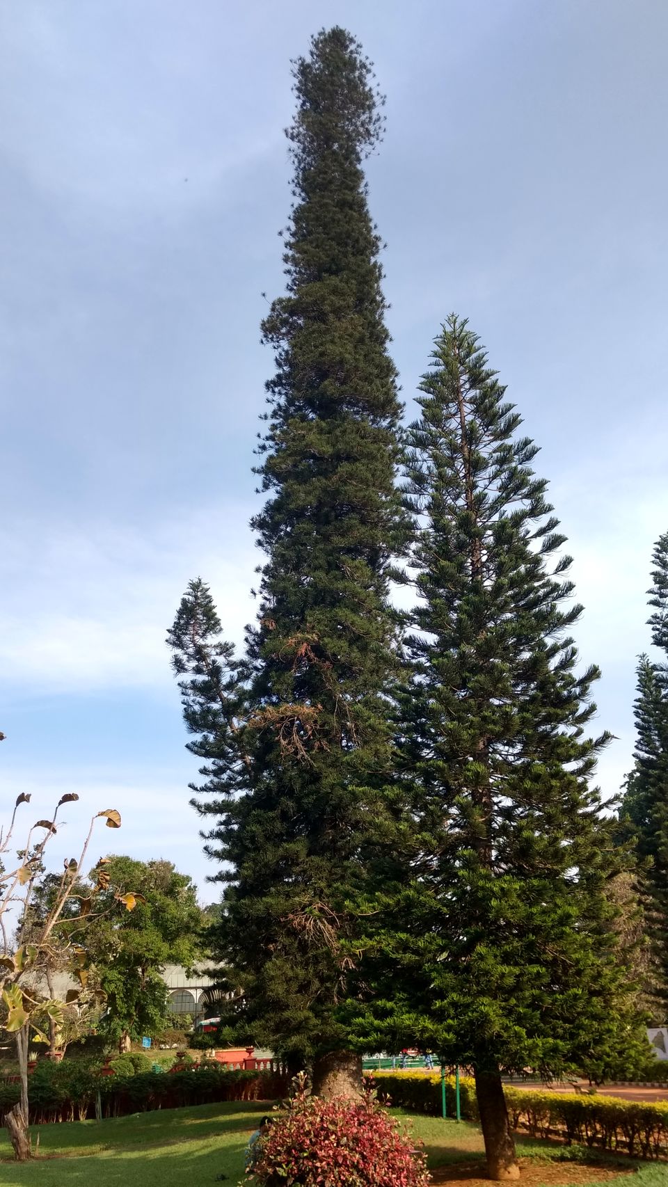 Photo of Yercaud Trip (Feb.-17) 26/28 by Bhargav Vyas