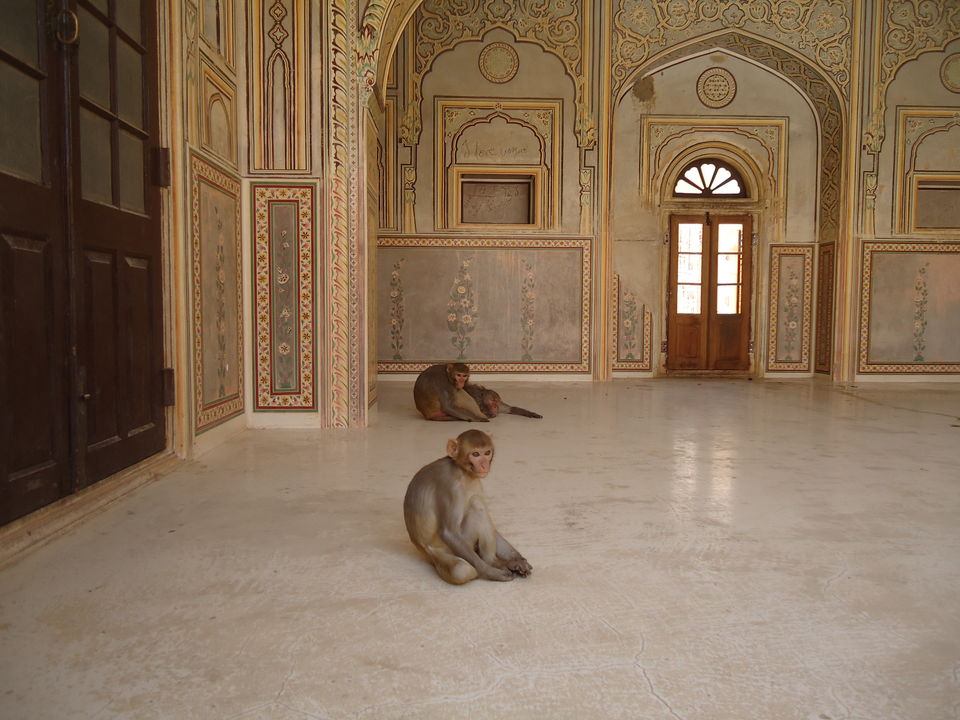 Photo of Jaipur Trip (April-17) 22/40 by Bhargav Vyas