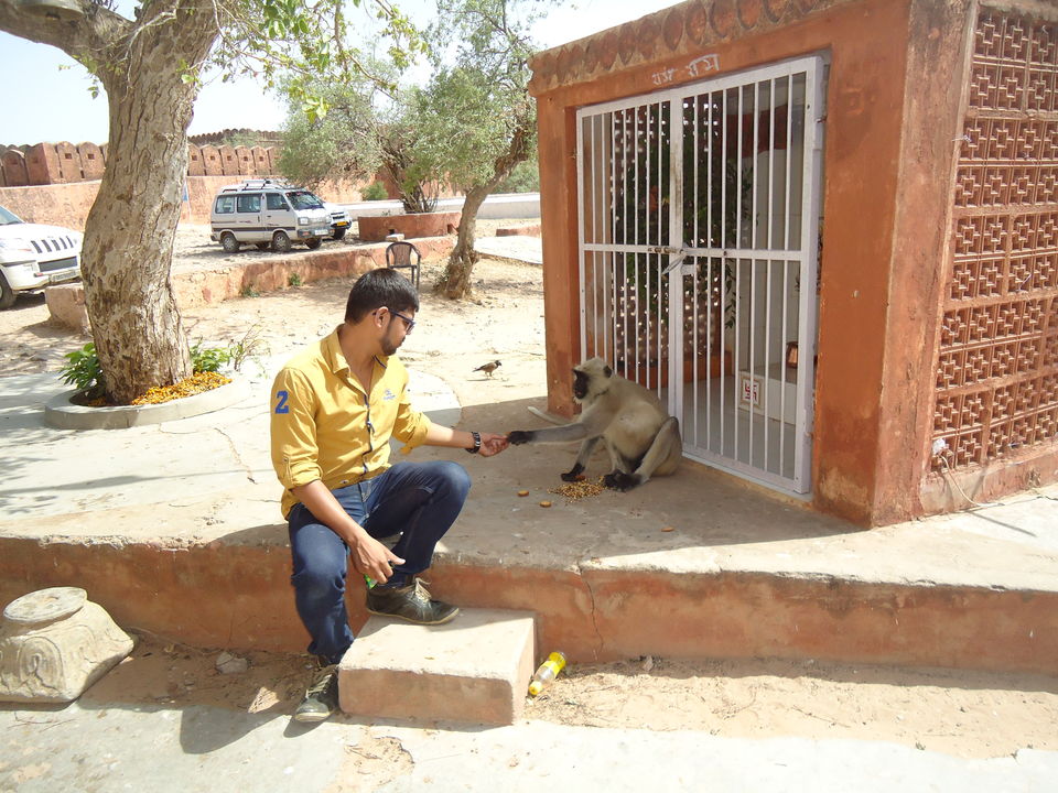 Photo of Jaipur Trip (April-17) 27/40 by Bhargav Vyas