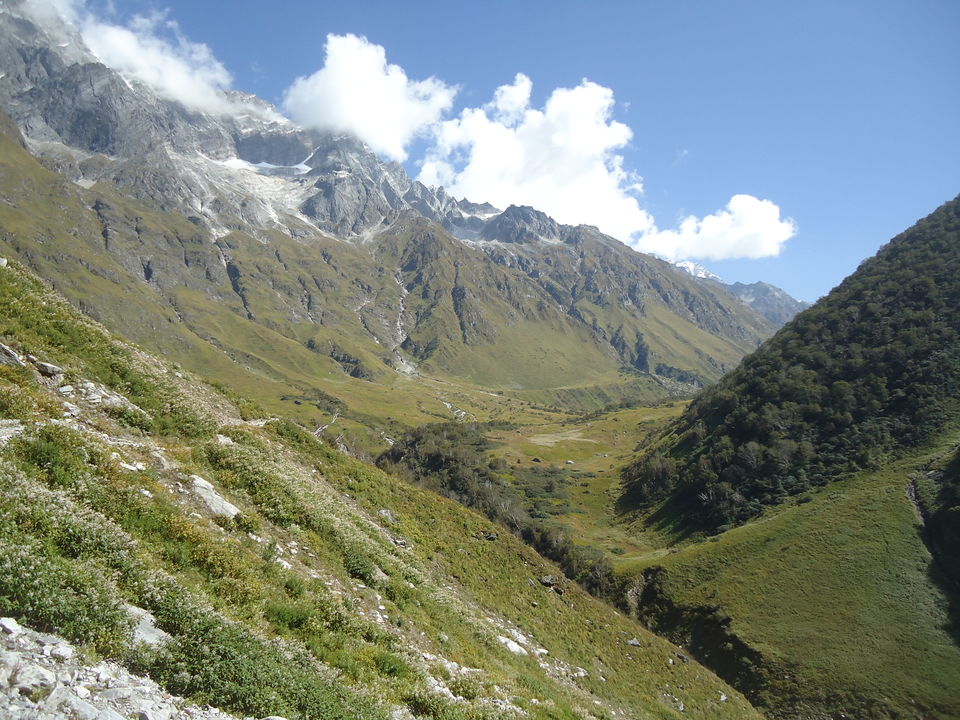 Photo of Valley of Flowers Trek (Sept.-17) 2/86 by Bhargav Vyas