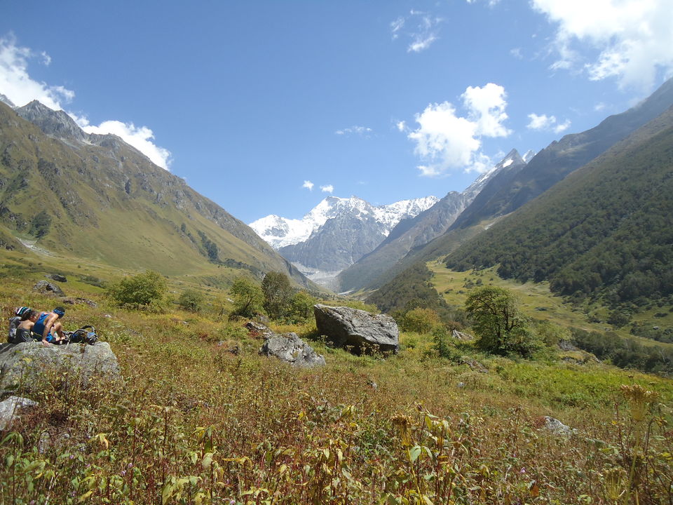 Photo of Valley of Flowers Trek (Sept.-17) 3/86 by Bhargav Vyas