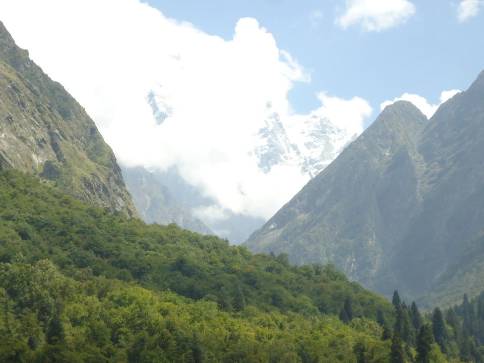 Photo of Valley of Flowers Trek (Sept.-17) 11/86 by Bhargav Vyas