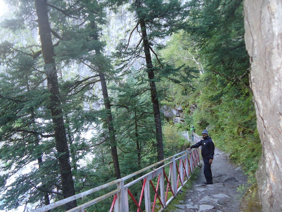 Photo of Valley of Flowers Trek (Sept.-17) 16/86 by Bhargav Vyas
