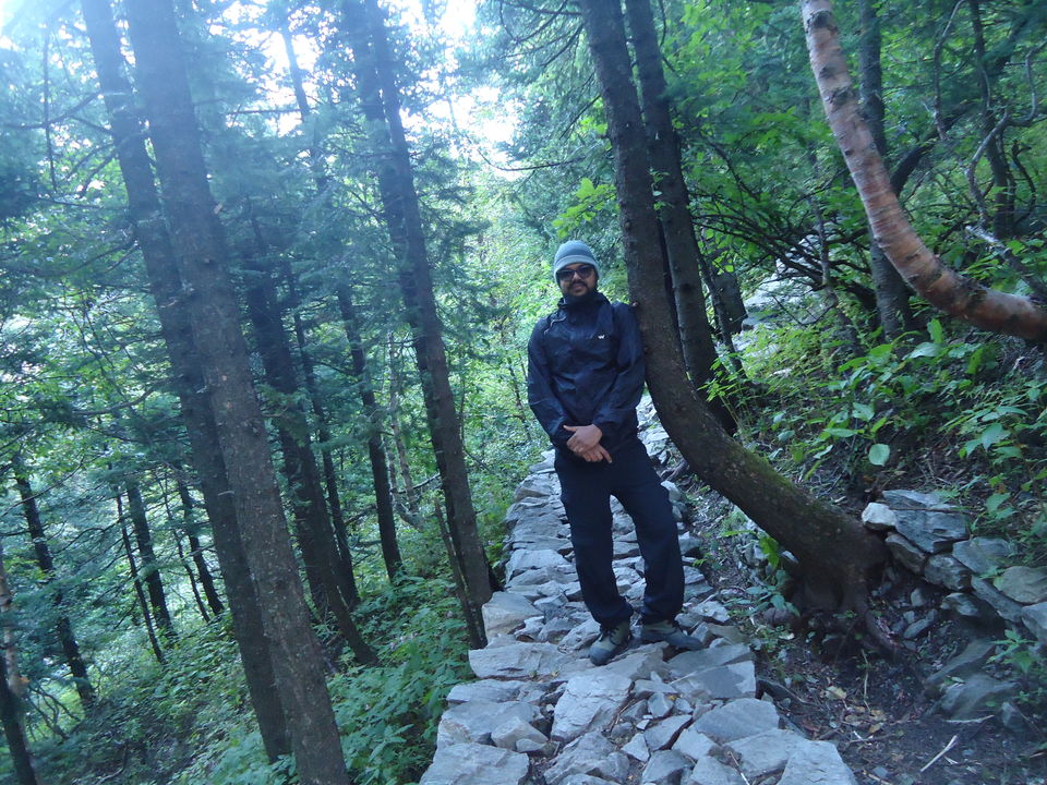 Photo of Valley of Flowers Trek (Sept.-17) 17/86 by Bhargav Vyas