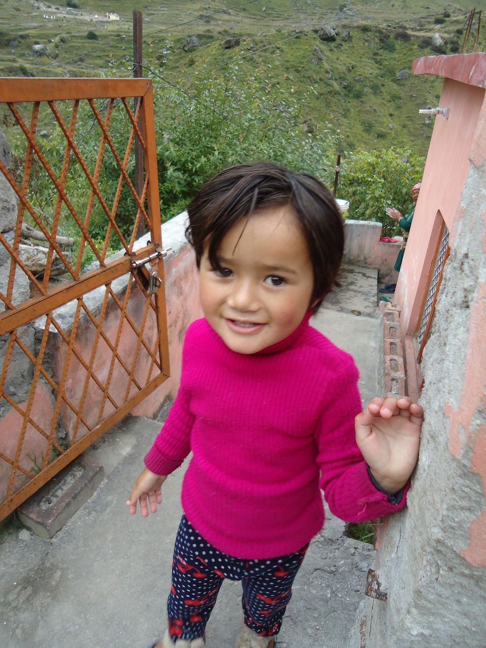 Photo of Valley of Flowers Trek (Sept.-17) 44/86 by Bhargav Vyas