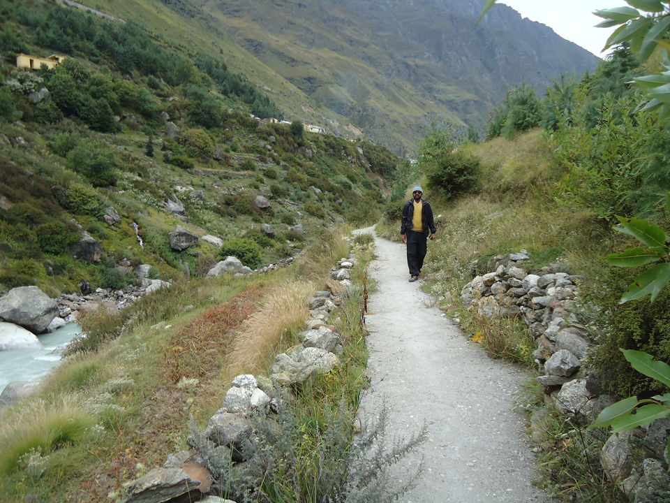 Photo of Valley of Flowers Trek (Sept.-17) 47/86 by Bhargav Vyas