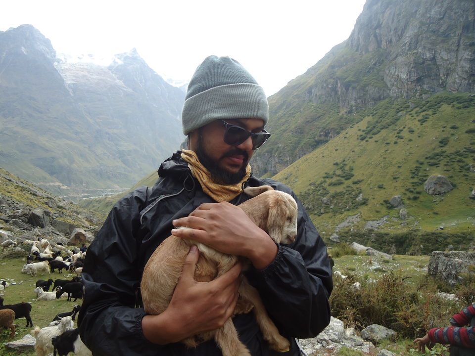 Photo of Valley of Flowers Trek (Sept.-17) 50/86 by Bhargav Vyas