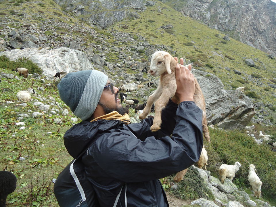 Photo of Valley of Flowers Trek (Sept.-17) 51/86 by Bhargav Vyas