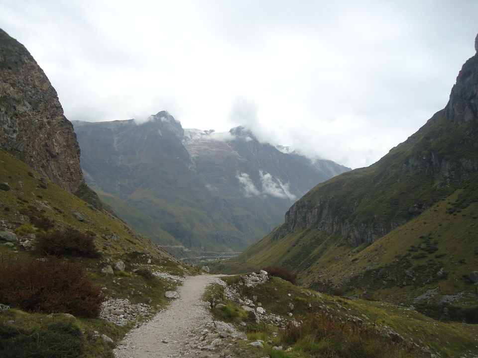Photo of Valley of Flowers Trek (Sept.-17) 54/86 by Bhargav Vyas