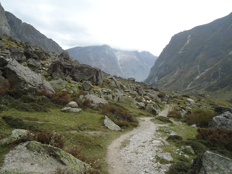 Photo of Valley of Flowers Trek (Sept.-17) 57/86 by Bhargav Vyas