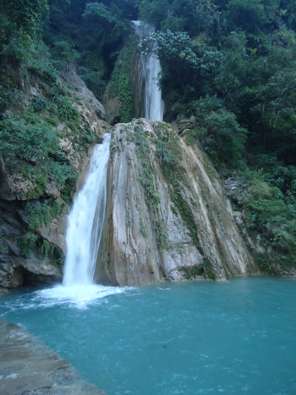 Photo of Valley of Flowers Trek (Sept.-17) 77/86 by Bhargav Vyas