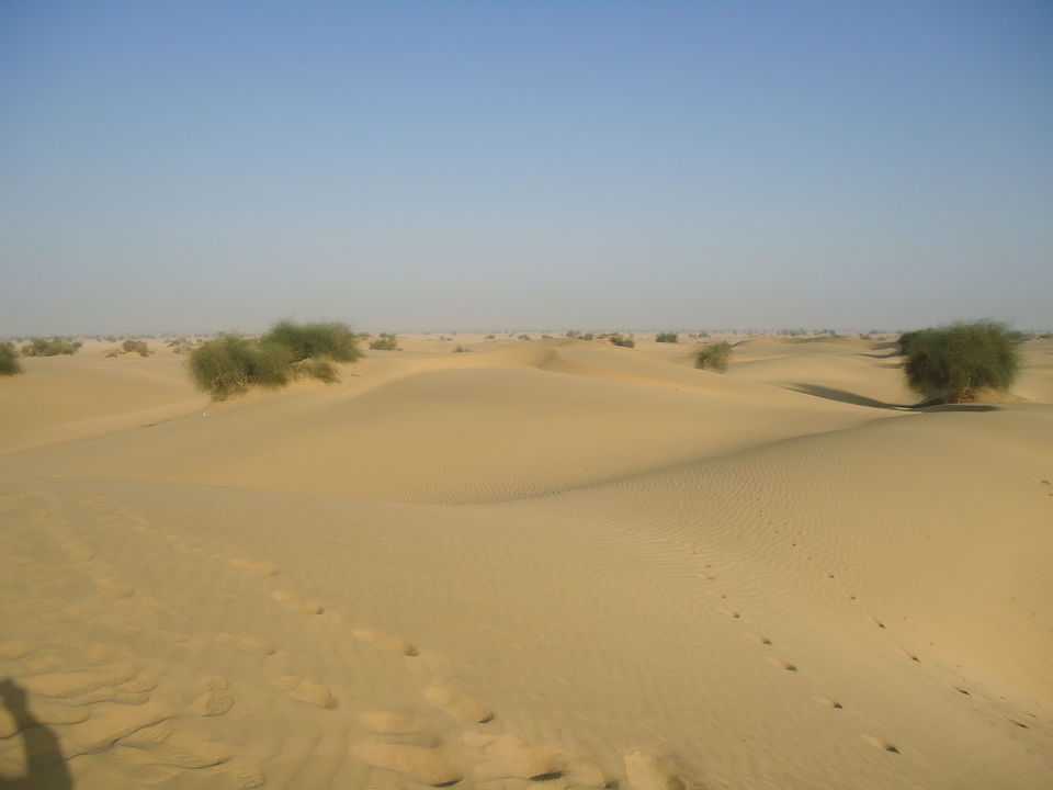 Photo of Jaisalmer Desert Trek & Jodhpur Trip (Dec.-2014) 5/84 by Bhargav Vyas