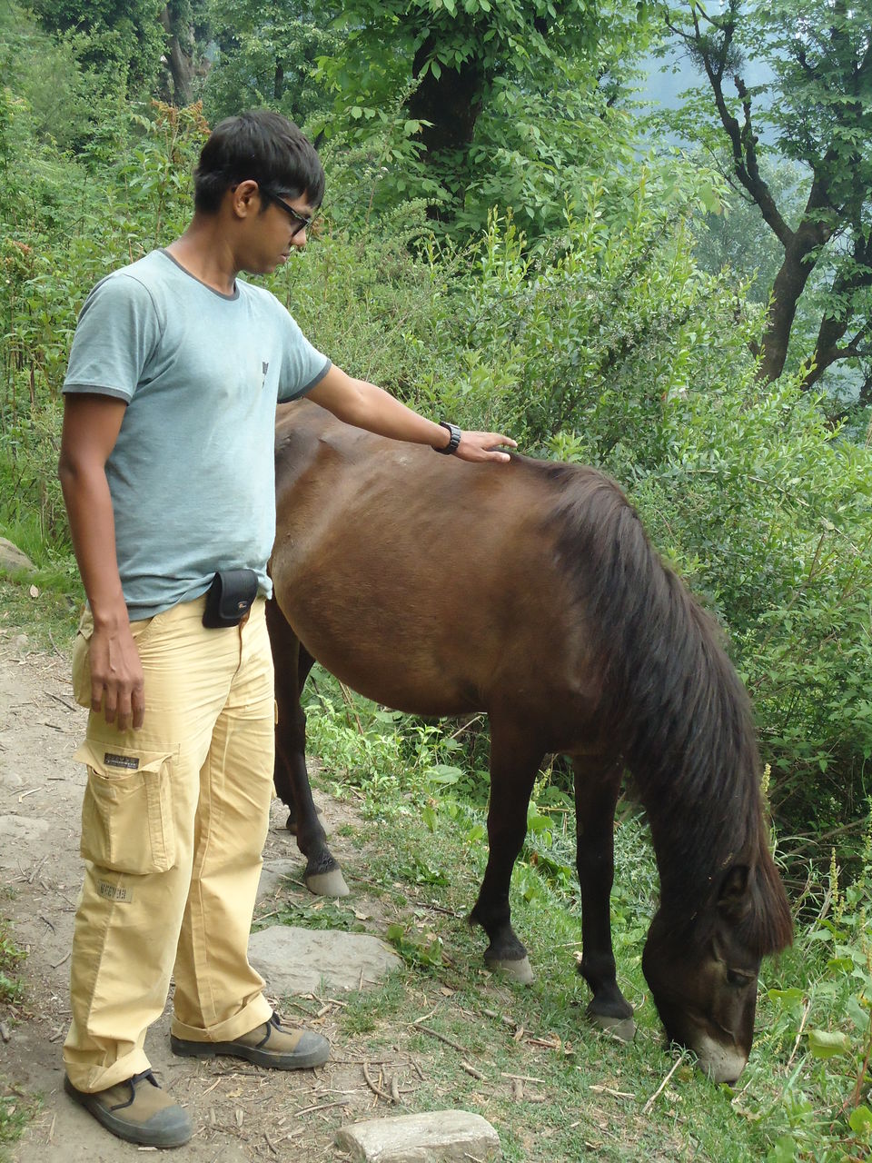 Photo of Saurkundi Pass Trekking (Himachal Pradesh) June-2013 56/71 by Bhargav Vyas