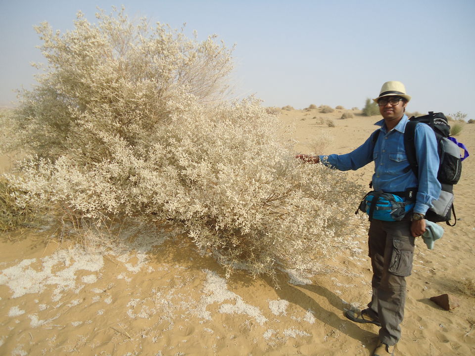 Photo of Jaisalmer Desert Trek & Jodhpur Trip (Dec.-2014) 21/84 by Bhargav Vyas