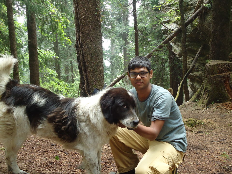 Photo of Saurkundi Pass Trekking (Himachal Pradesh) June-2013 58/71 by Bhargav Vyas