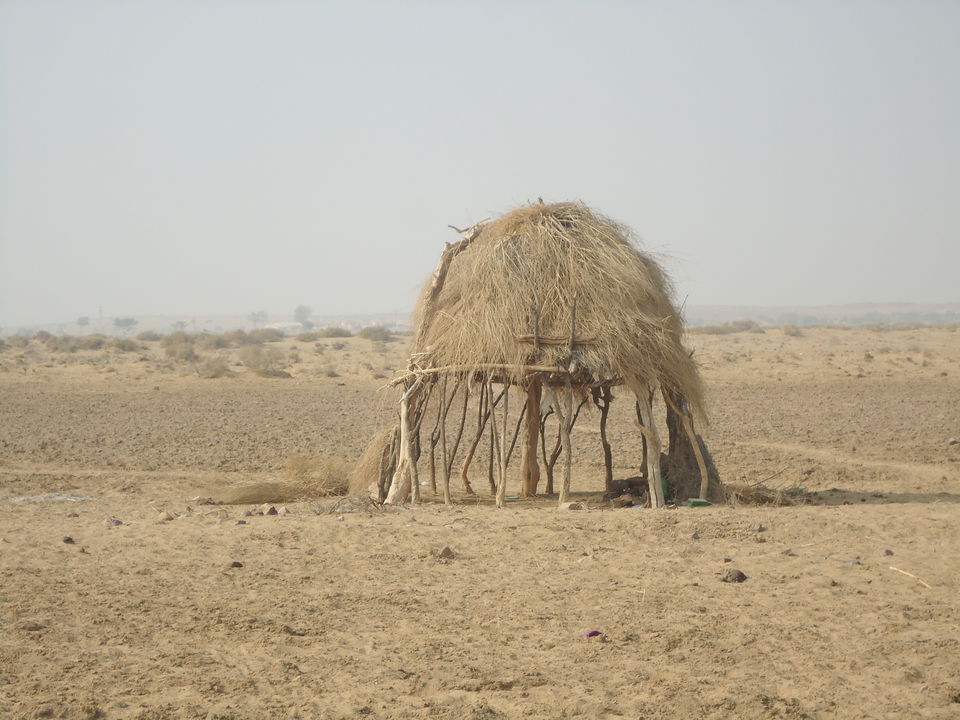 Photo of Jaisalmer Desert Trek & Jodhpur Trip (Dec.-2014) 24/84 by Bhargav Vyas