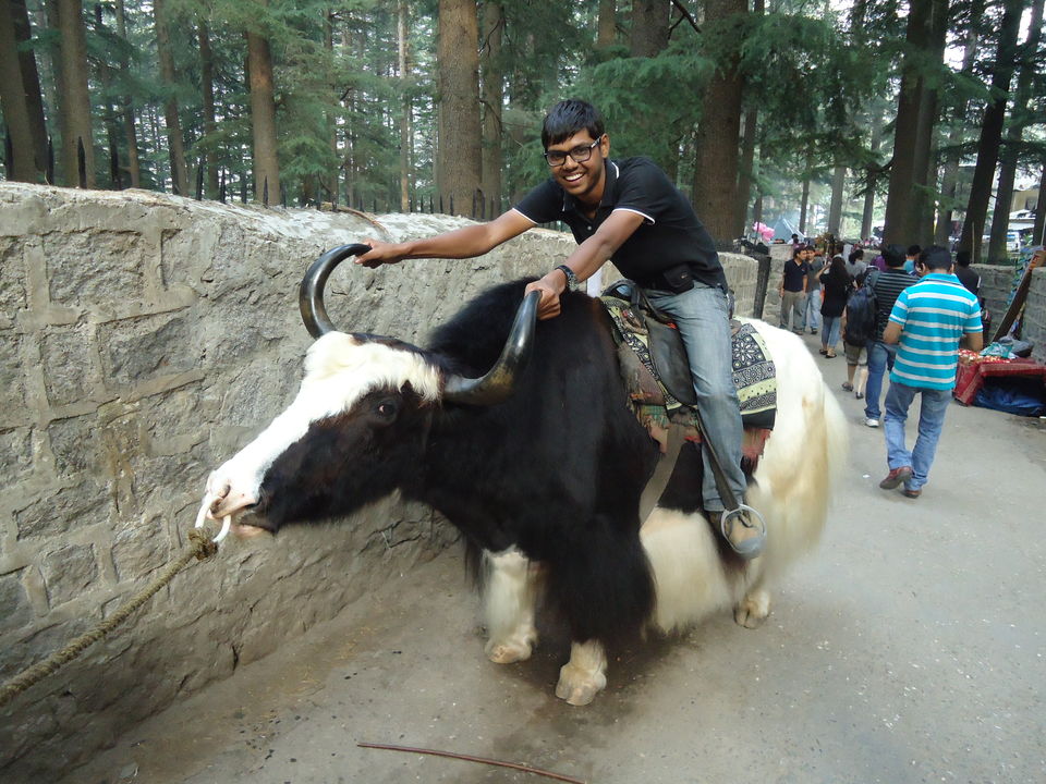 Photo of Saurkundi Pass Trekking (Himachal Pradesh) June-2013 66/71 by Bhargav Vyas