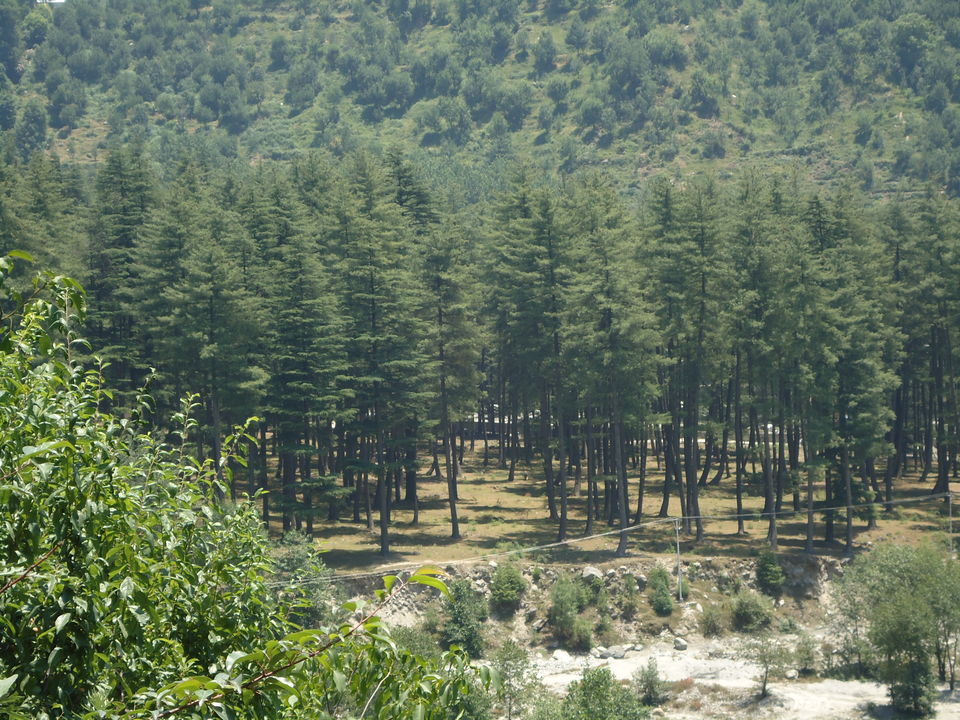 Photo of Saurkundi Pass Trekking (Himachal Pradesh) June-2013 36/71 by Bhargav Vyas