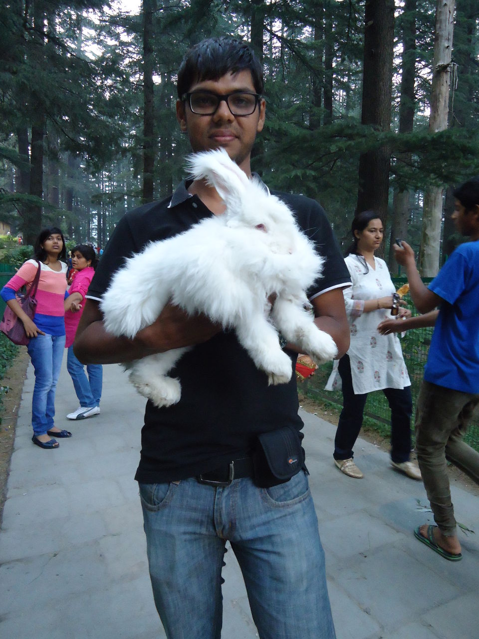 Photo of Saurkundi Pass Trekking (Himachal Pradesh) June-2013 68/71 by Bhargav Vyas
