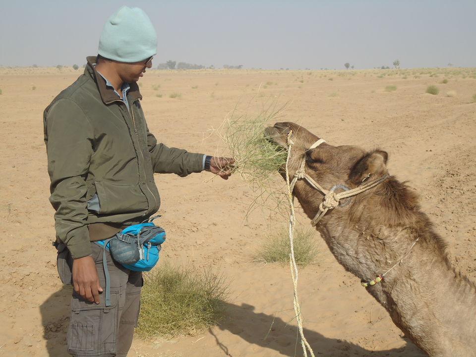 Photo of Jaisalmer Desert Trek & Jodhpur Trip (Dec.-2014) 28/84 by Bhargav Vyas
