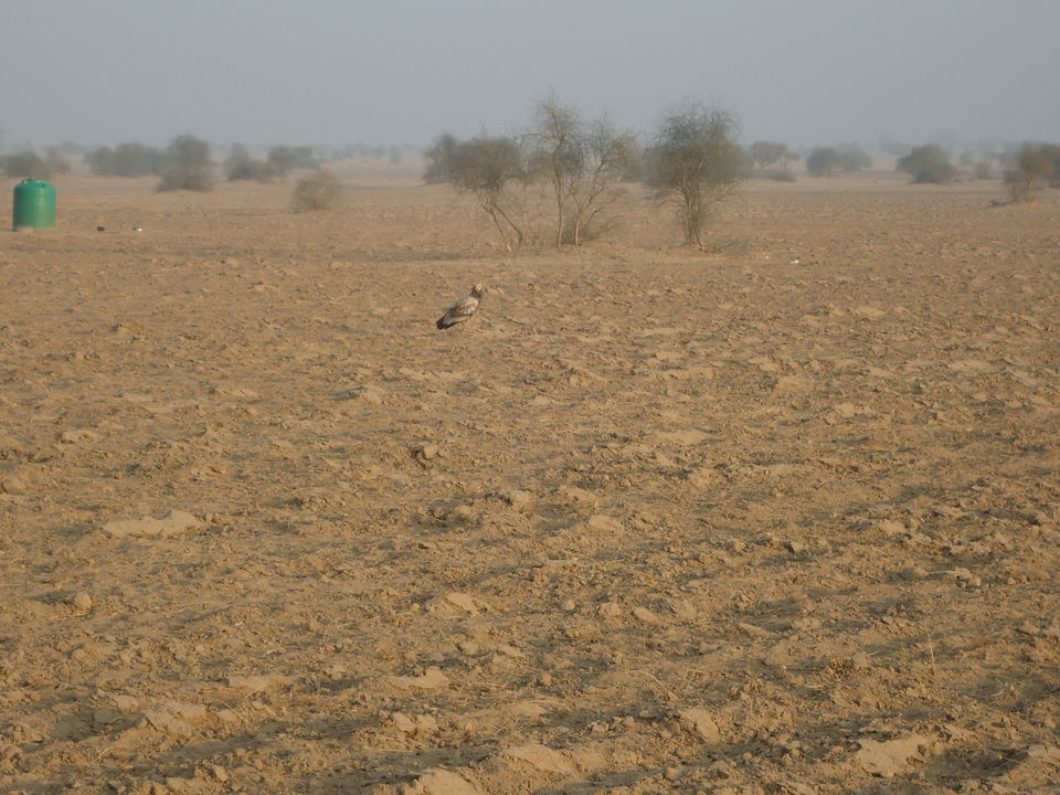 Photo of Jaisalmer Desert Trek & Jodhpur Trip (Dec.-2014) 31/84 by Bhargav Vyas