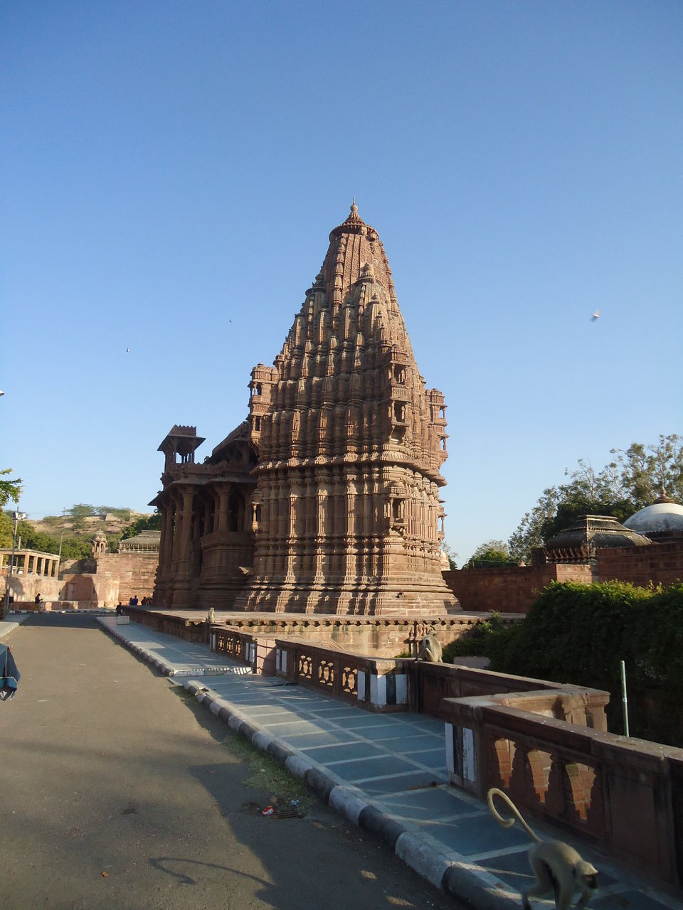Photo of Jaisalmer Desert Trek & Jodhpur Trip (Dec.-2014) 80/84 by Bhargav Vyas