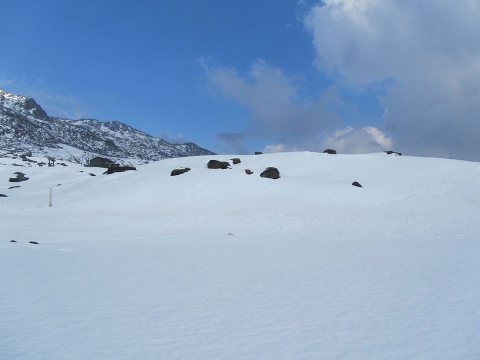 Photo of Siliguri & Sikkim Trekking (March-2015) by Bhargav Vyas