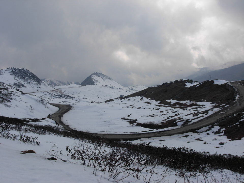Photo of Siliguri & Sikkim Trekking (March-2015) by Bhargav Vyas