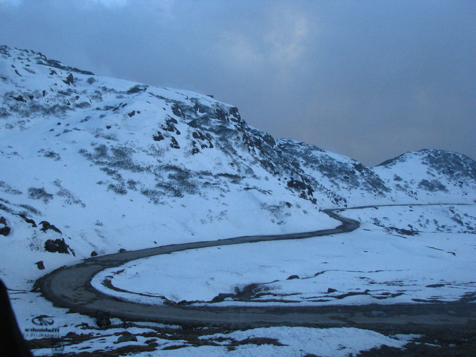 Photo of Siliguri & Sikkim Trekking (March-2015) by Bhargav Vyas