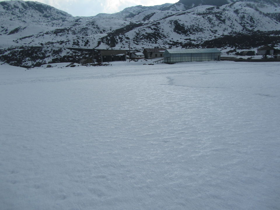 Photo of Siliguri & Sikkim Trekking (March-2015) by Bhargav Vyas