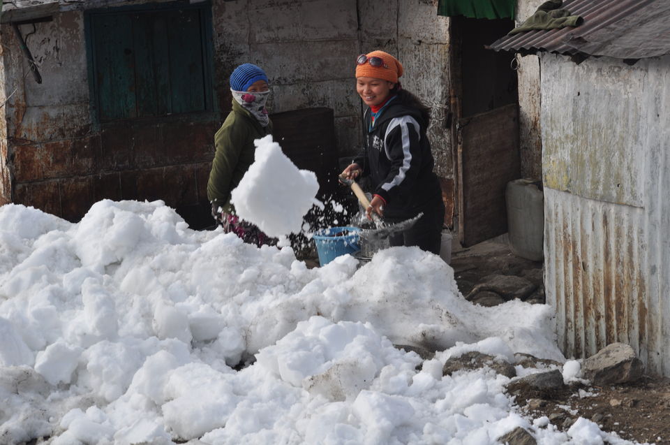 Photo of Siliguri & Sikkim Trekking (March-2015) by Bhargav Vyas