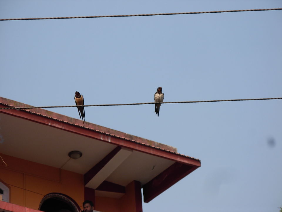 Photo of Siliguri & Sikkim Trekking (March-2015) by Bhargav Vyas