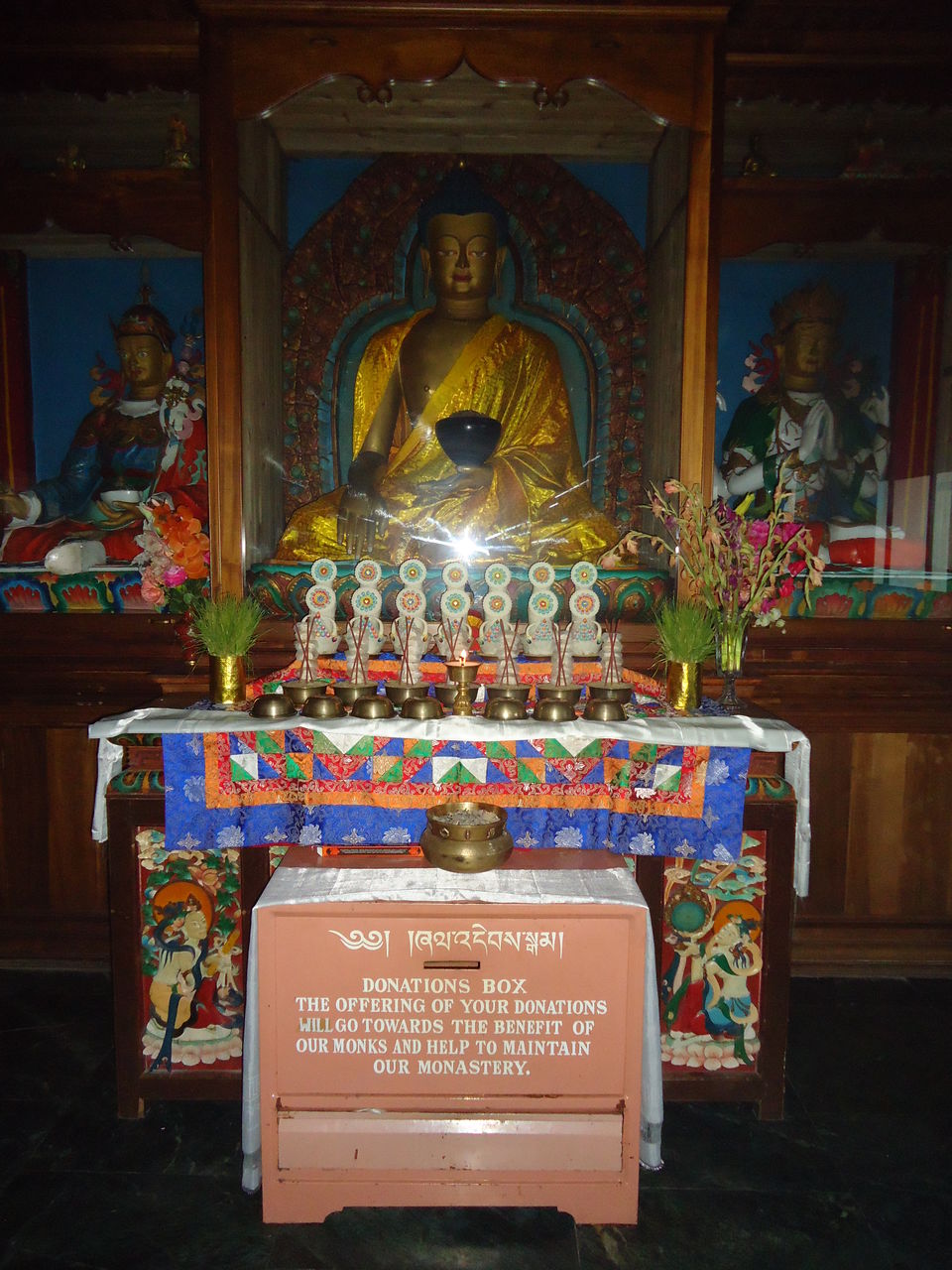 Photo of Siliguri & Sikkim Trekking (March-2015) by Bhargav Vyas