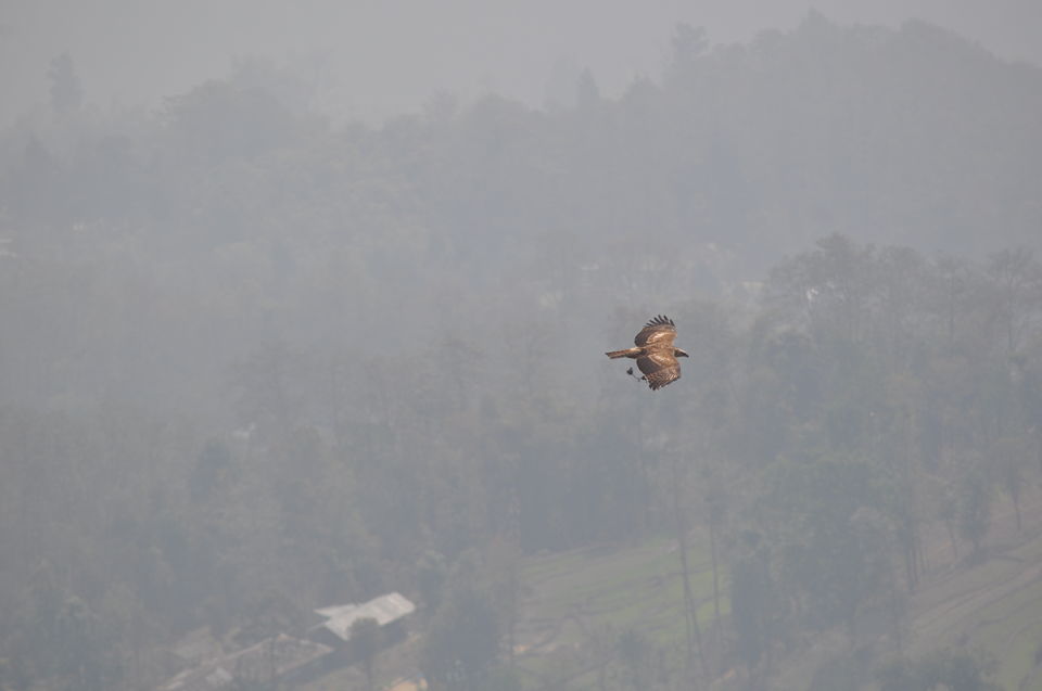 Photo of Siliguri & Sikkim Trekking (March-2015) by Bhargav Vyas