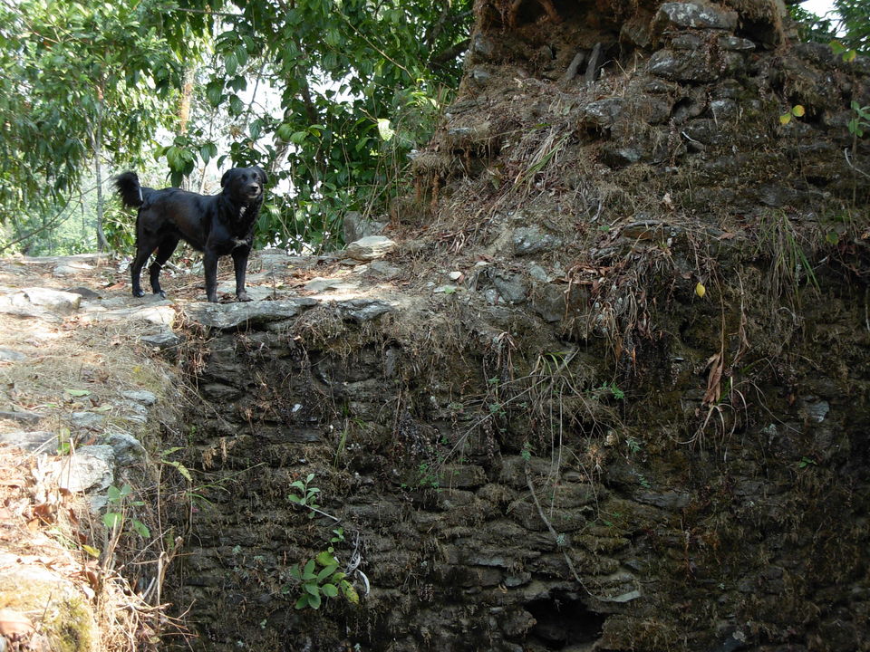 Photo of Siliguri & Sikkim Trekking (March-2015) by Bhargav Vyas