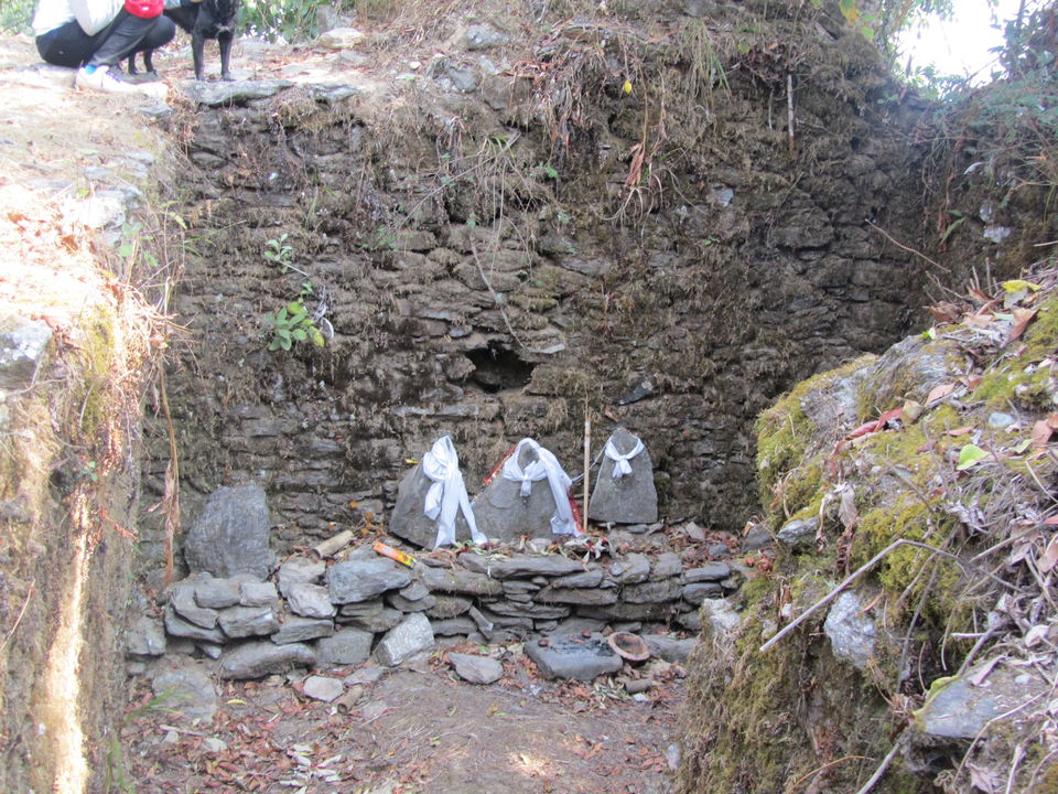 Photo of Siliguri & Sikkim Trekking (March-2015) by Bhargav Vyas